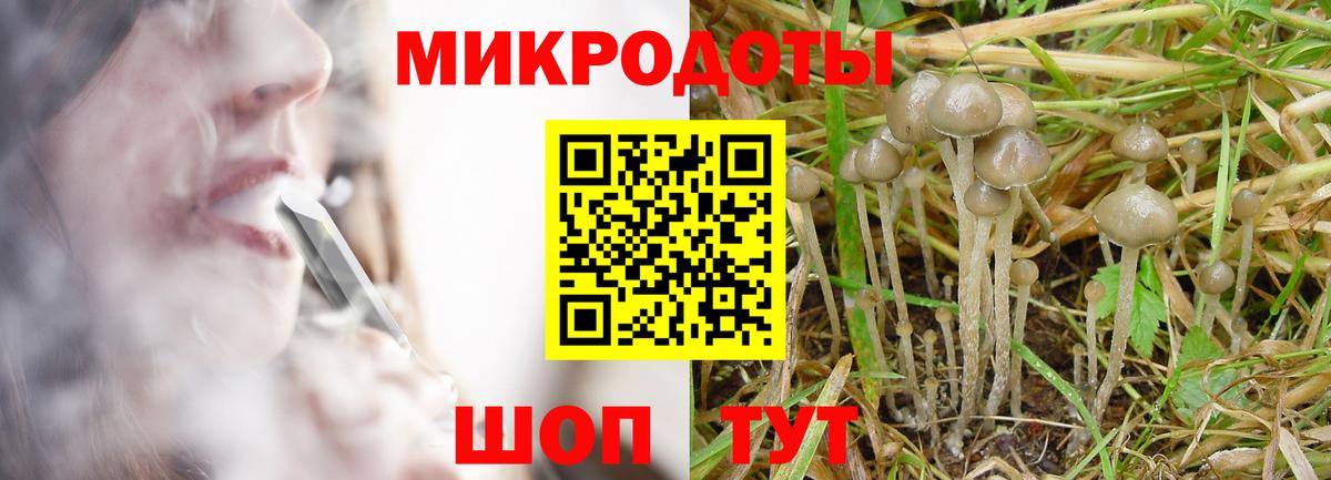 Галлюциногенные грибы Psilocybine cubensis  Вход с VPN  Сосновоборск 